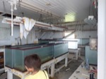 resIMG_20180625_164210_P6250582.JPG